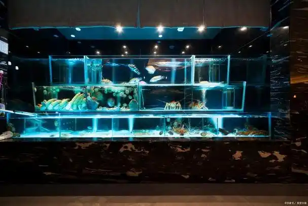 海鲜池的设计和结构