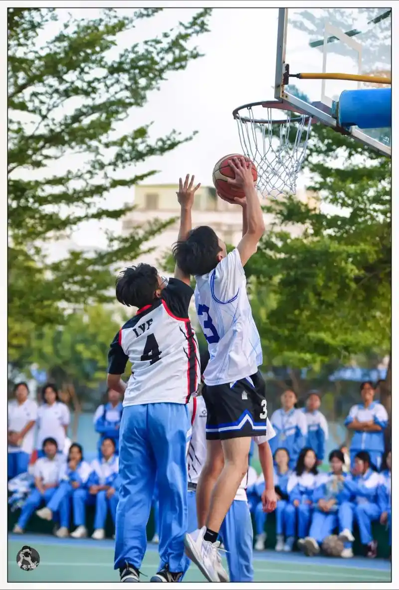 苏北中学2023三人篮球赛