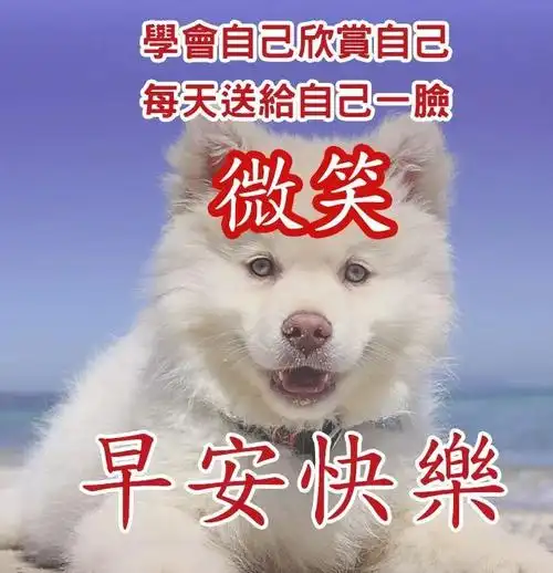 早上好问候语图片大全 早上好问候句子