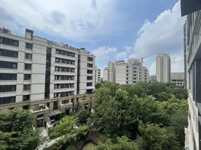 徐泾虹桥正荣府大平层世外附属幼儿园旁