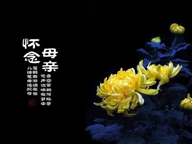 怀念母亲 写给妈妈一周年祭