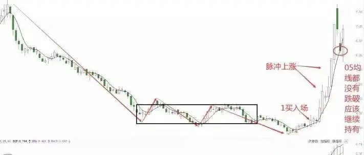 五日均线使用:五日均线怎么看图解法- 股市聚焦_赢家财富网