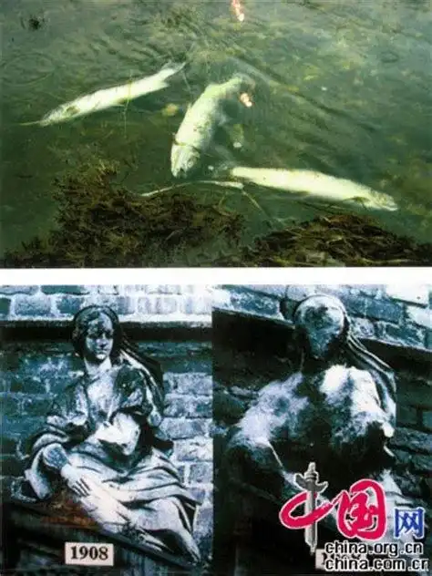 旁边第一幅是被酸雨污染后的海水,第二幅是被腐蚀的雕像