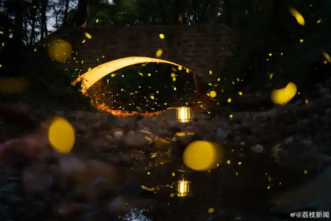 多视角欣赏南京流萤飞舞##夏天是属于萤火虫的季节