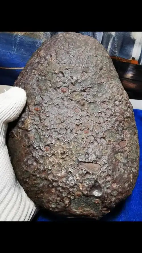 高熔极品球粒陨石