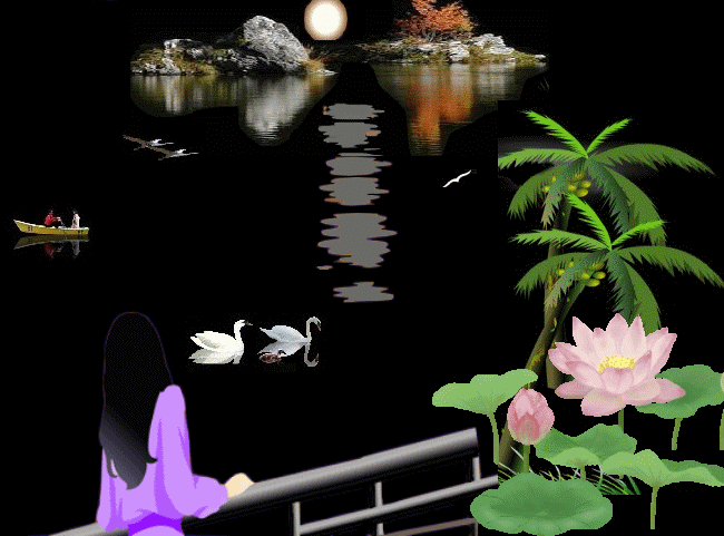 650_481gif 动态图 动图