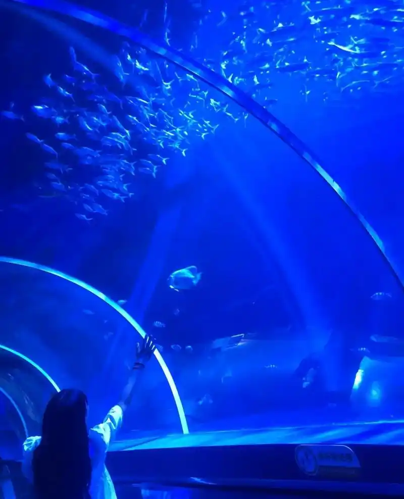 徐州海底世界,一月活动19.990.96票,93s我定;1米 - 抖音