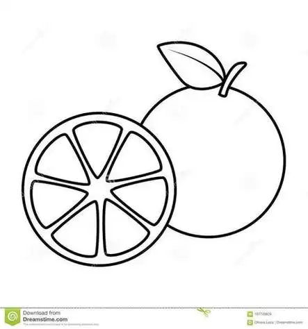 葡萄柚画简笔画带颜色