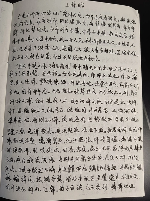 点赞过一百,就去抄离骚.反正也没人看._单机游戏热门视频
