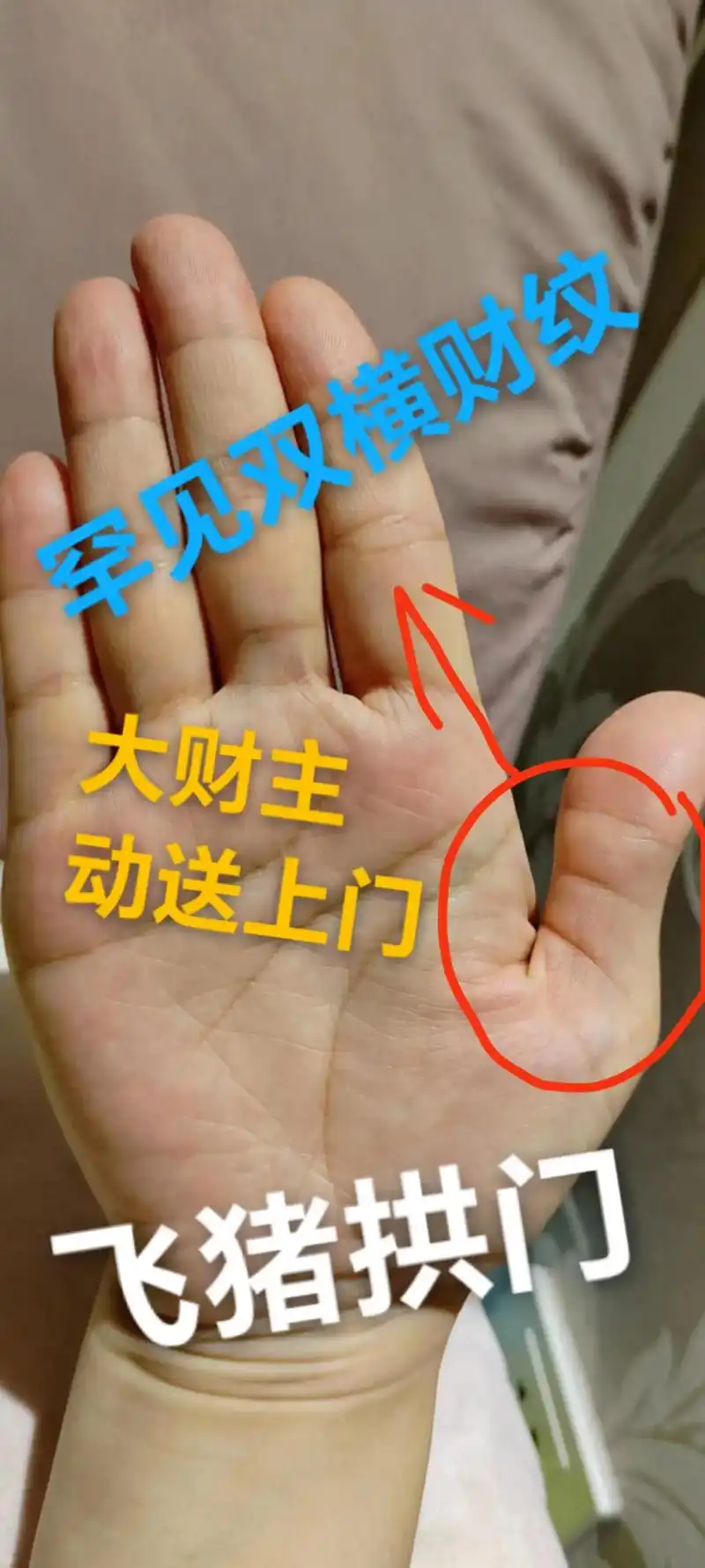 掌纹的秘密 #测一测你是哪种手型 #旺夫女人 #掌纹 #测 - 抖音