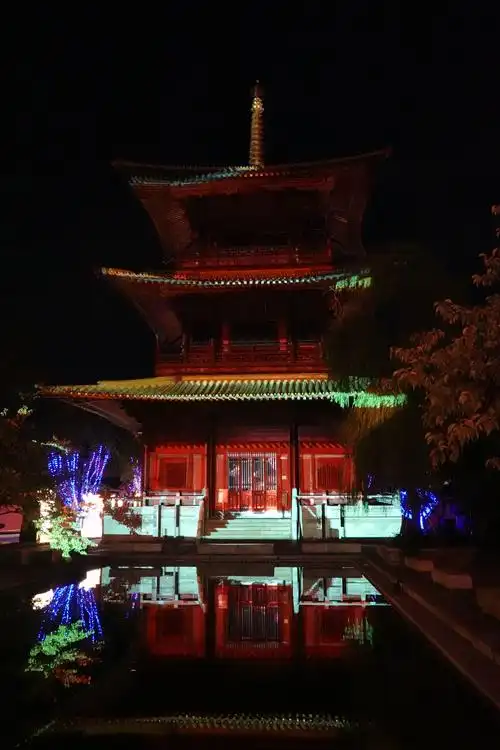 广富林文化遗址灯光秀