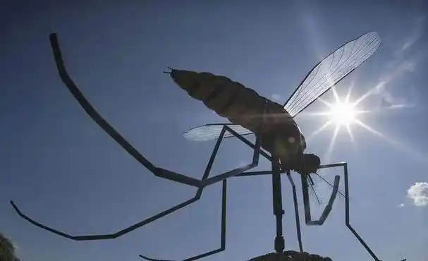 多数人不知道蚊子怕的是啥1个妙招整夜开窗也不怕