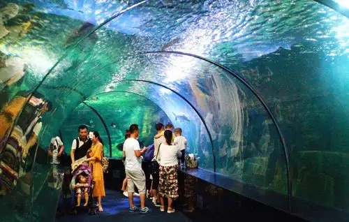 抓住国庆假期的小尾巴再来曲江海洋公园嗨一把