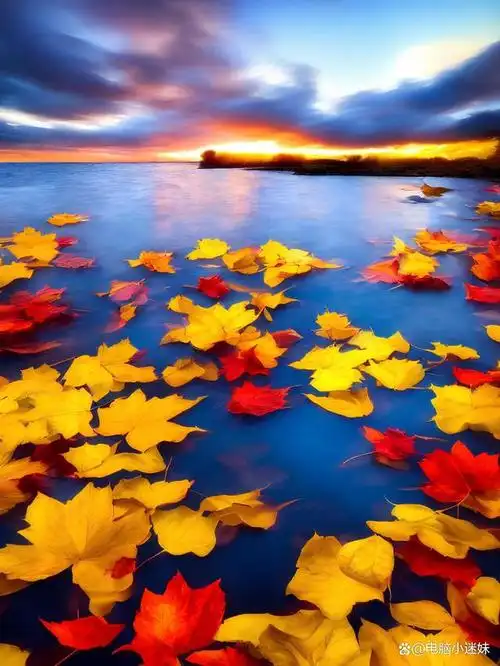 11月22日8k高清壁纸分享