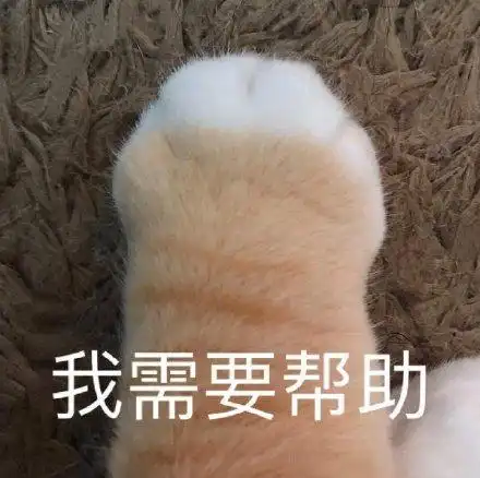 giao哥各位老铁们早上好中午好晚上好中午各位早上好老铁们giao表情