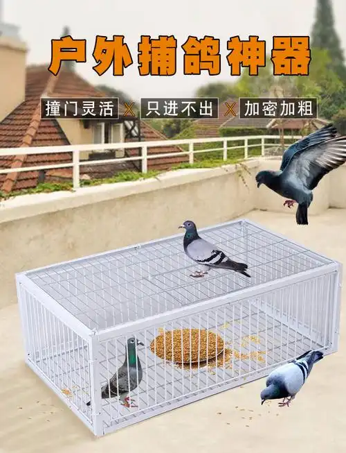 捕鸽神器加密天落笼只进不出抓鸽子笼自动救援户外捕鸽子笼连续进p网
