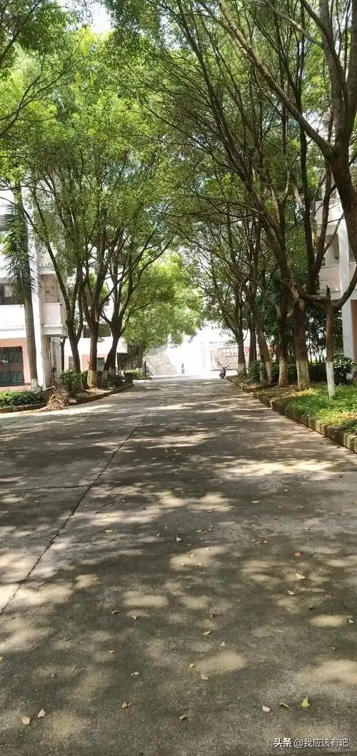 梅县东山中学(梅县东山中学初中部)