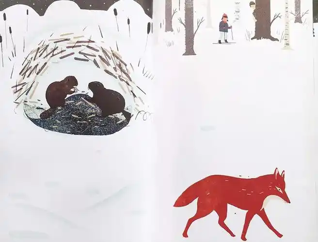 绘本分享之《雪上,雪下》