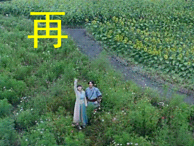 新侠客行再见gif动图_动态图_表情包下载_soogif