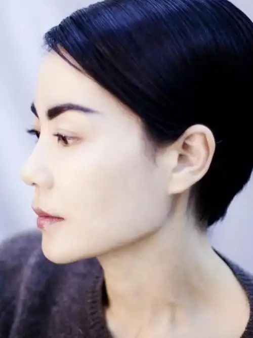 不过在后期,王菲的鼻子也有了二次发育,变得更挺翘了.