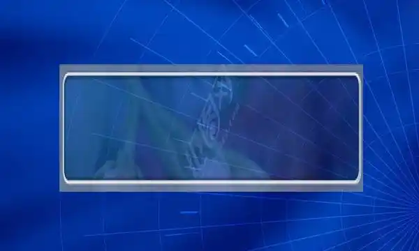 火凤凰之美女如云简介中飞网百科