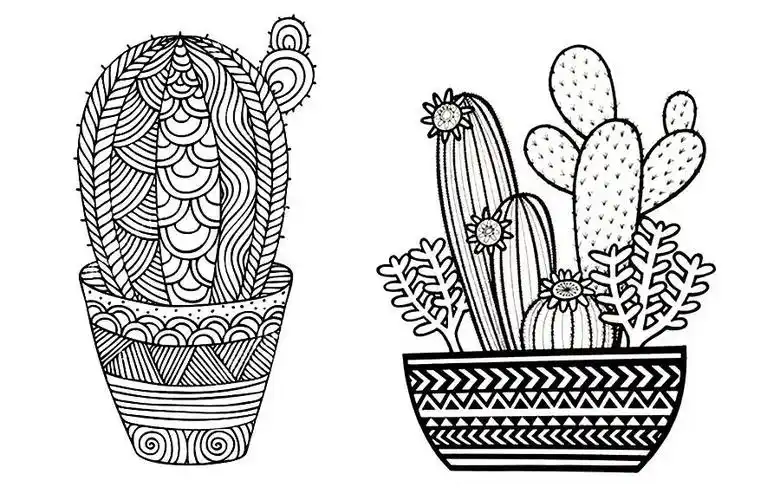 仙人掌怎么画(儿童画教程|线描画仙人掌)