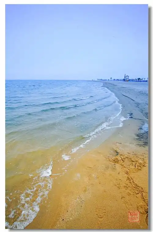 近年本市采风实录之二黄骅金沙滩与海螺公园