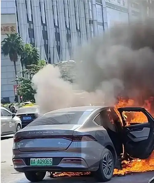 清华院士:电动汽车自燃是新闻,烧一个就会爆.烧的其实真不多!