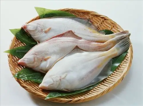 比目鱼图片