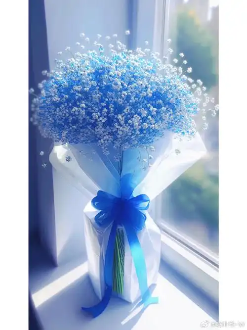 种植#满天星,又叫孔雀花,原名为重瓣丝石竹,原产地中海沿岸.