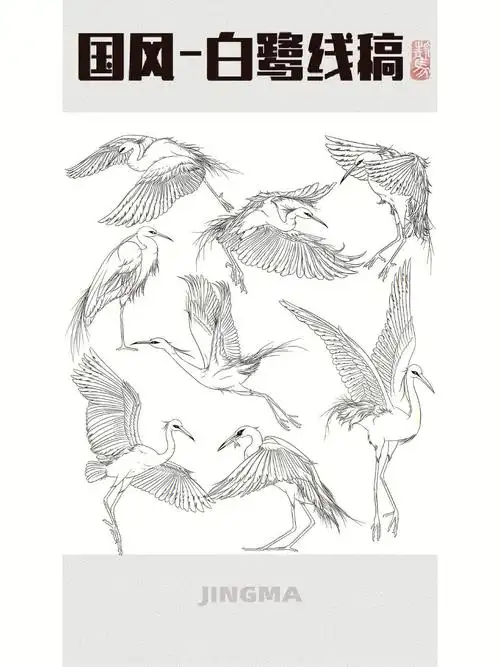 国潮中的鸟白鹭线稿