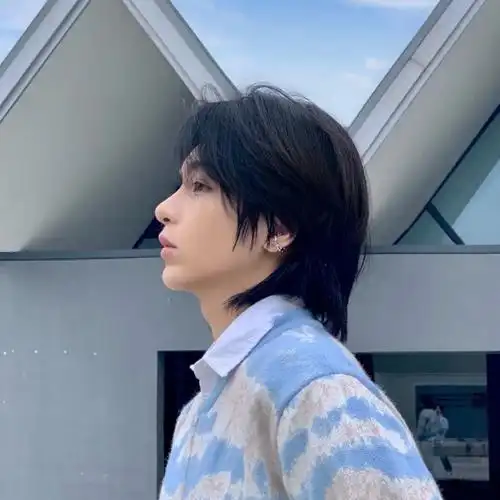 鲻鱼头男短发日系帅气女狼尾头逼真自然学生假毛网红全头套式花乐集