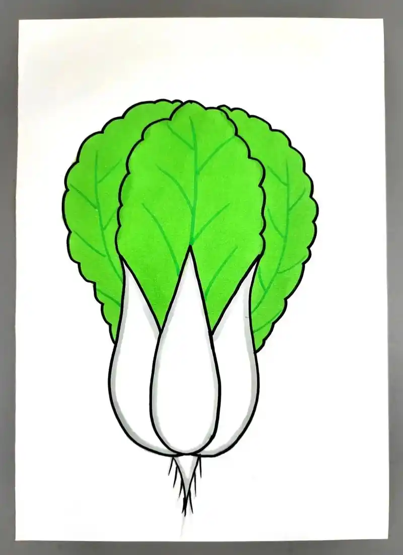 教你用字母"w" 画一棵大白菜,简单易学,幼儿园小朋友也能独 - 抖音