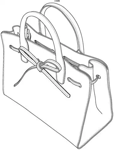 cn304195955s_手提包有效