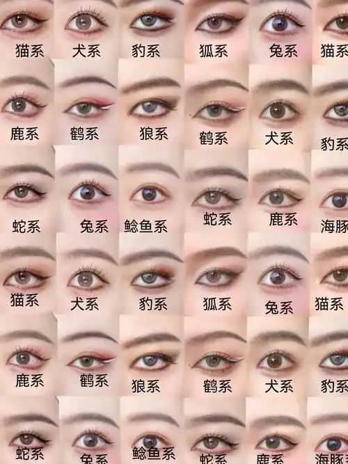 动物系眼妆合集!#美妆百万新星计划 #网感美女都会画的眼型  - 抖音