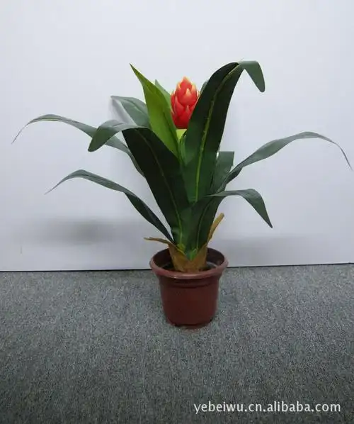 flt0001 鸿运当头小盆景 仿真树 高度:40cm