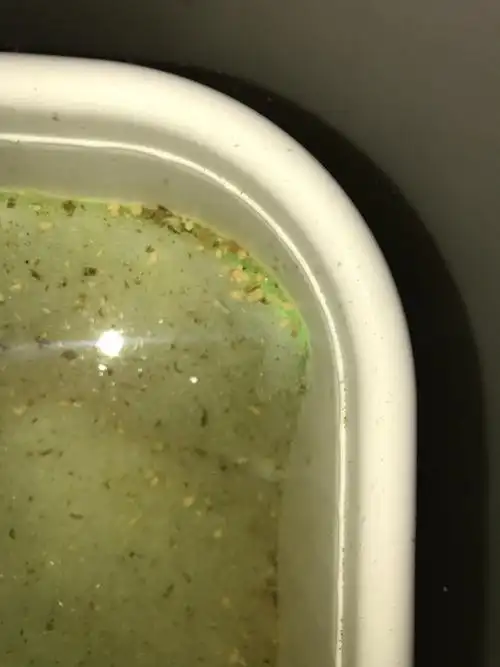 锦鲤拉白色沉底硬便