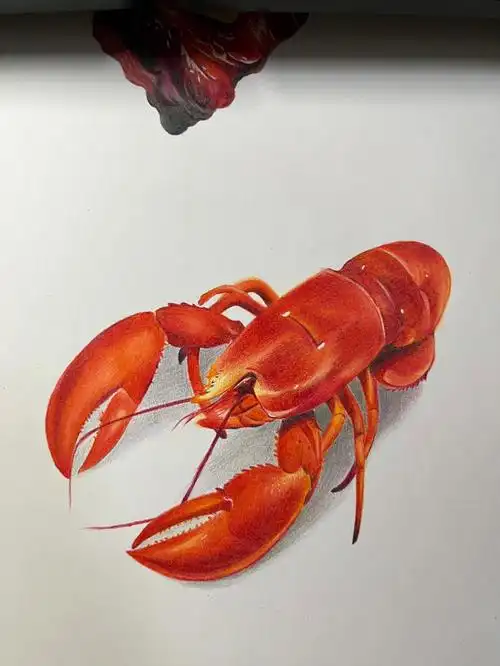 彩铅手绘  #画画练习  #彩铅画  #龙虾