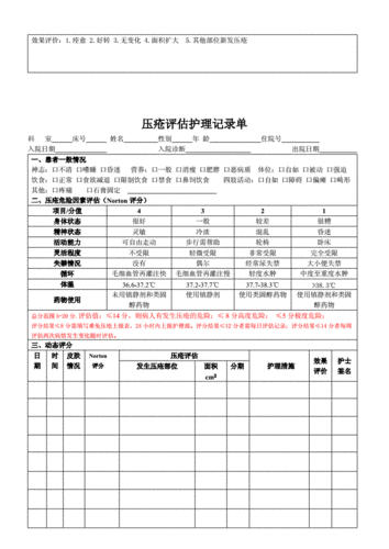 压疮护理评估记录单doc3页