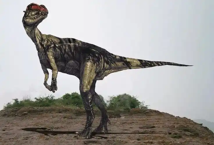 恐龙说吃瓜双脊龙被大爆黑料引发震惊三连