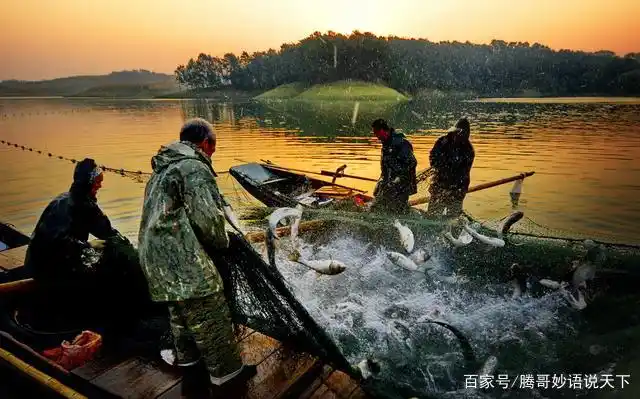 长江30米范围鱼已泛滥,为何宁可20万渔民失业,也要禁止捕鱼?