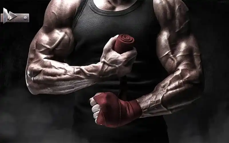 29【健身bgm】拳击,hiit,跑步,训练,撸铁(请戴耳机)