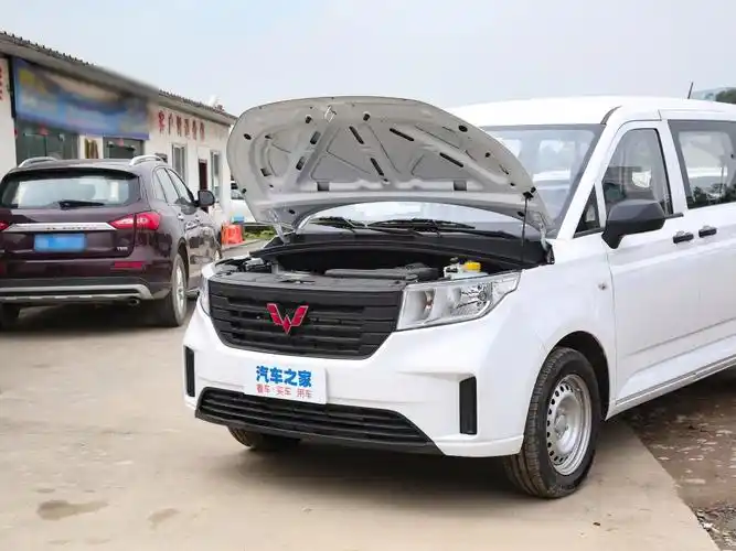 上汽通用五菱 五菱征程 2022款 2.0l 手动创业型