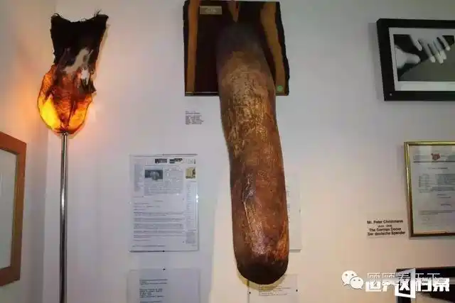 世界唯一阳具博物馆冰岛首都雷克雅未克 首善之都犯罪率几乎为零