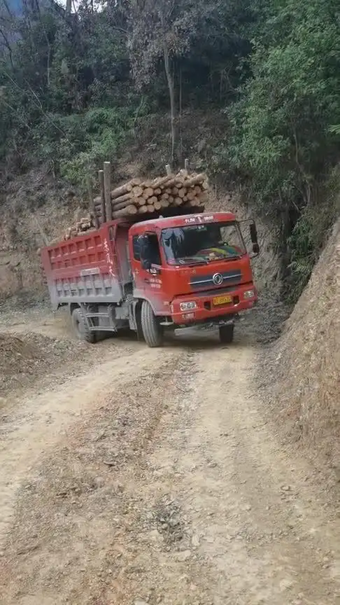 装了一车满满的木头只要轮胎翘起来我的心也跟着起来了