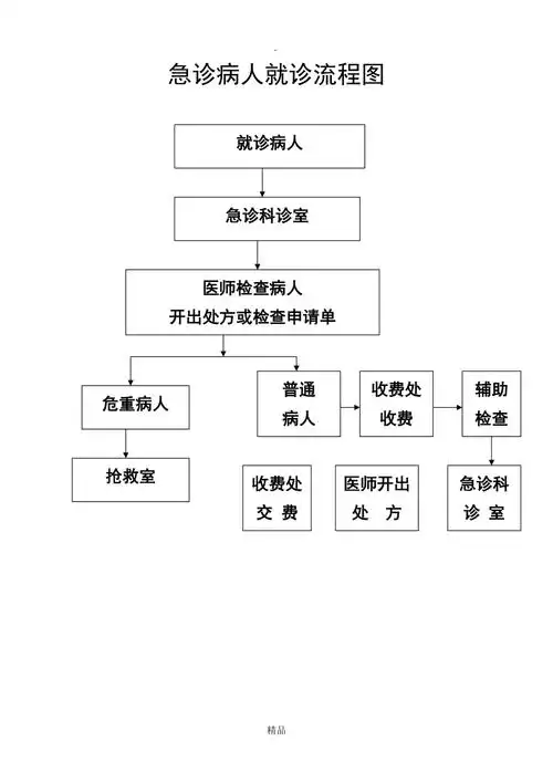 急诊科病人就诊流程图_第1页
