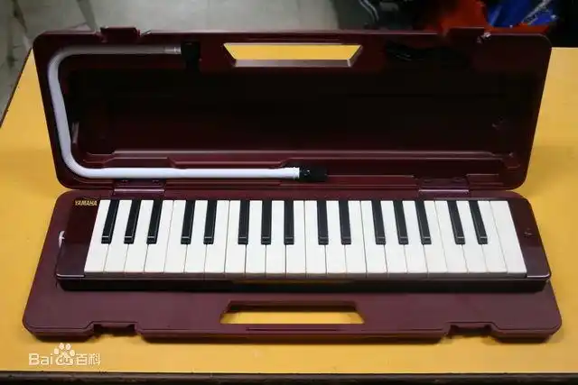 聆听风琴的故事—游鼓浪屿风琴博物馆