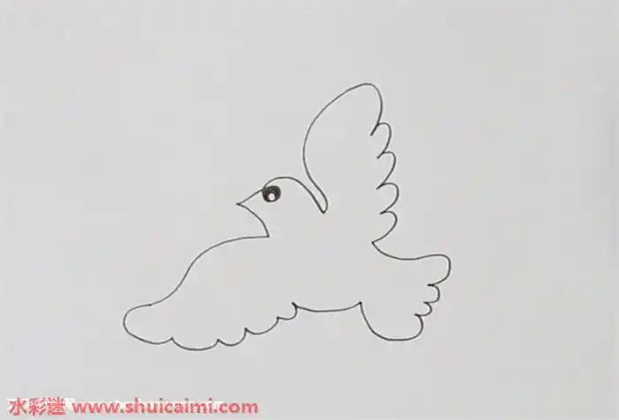 飞鸟怎么画飞鸟简笔画图片带颜色