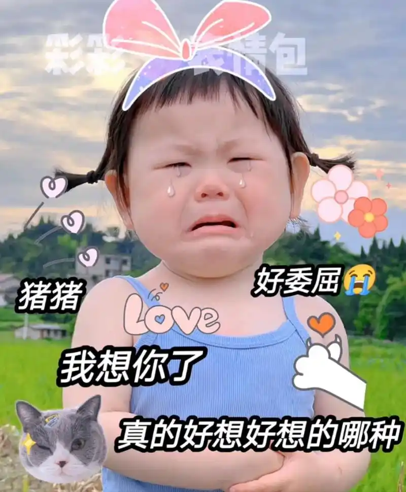 臭宝  我想你了  你感受到了吗01#每帧都是表情包 #艾特 - 抖音