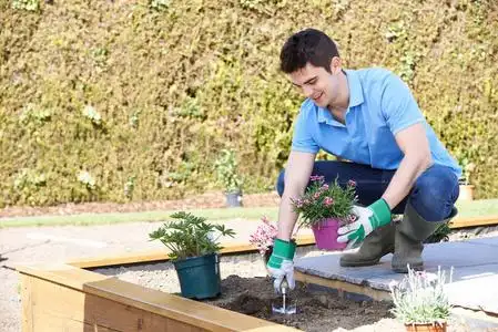 园艺花坛在花园里种植花坛景观园艺师照片